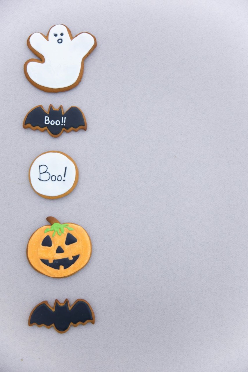 Autumn Budget 2024 - Are you spooked?
